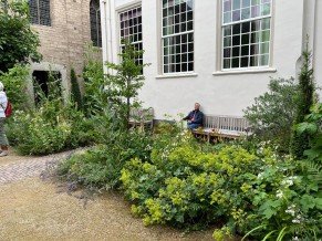Tuin van de Pieterskerk